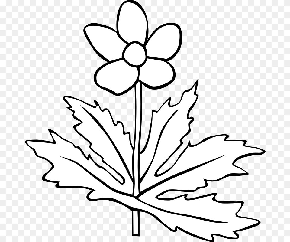 Anemone Canadensis Flower Outline Plant White And Black, Leaf, Stencil, Animal, Fish Free Png