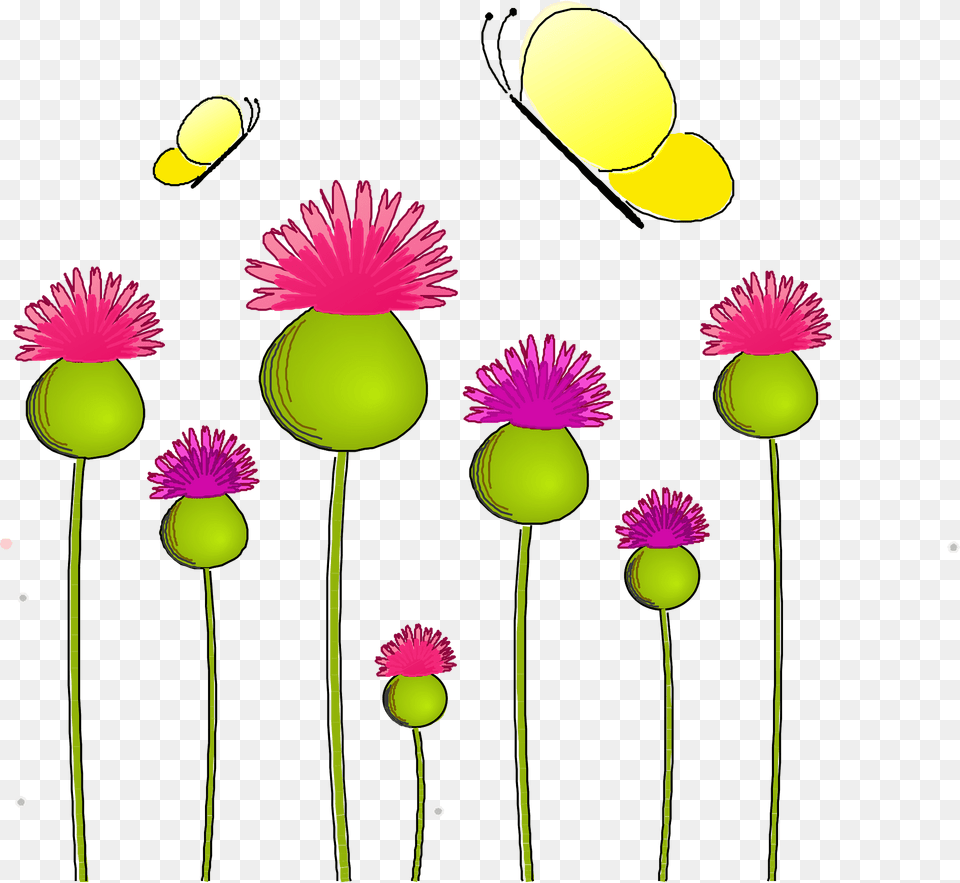 Anemone Clipart, Daisy, Flower, Petal, Plant Png Image
