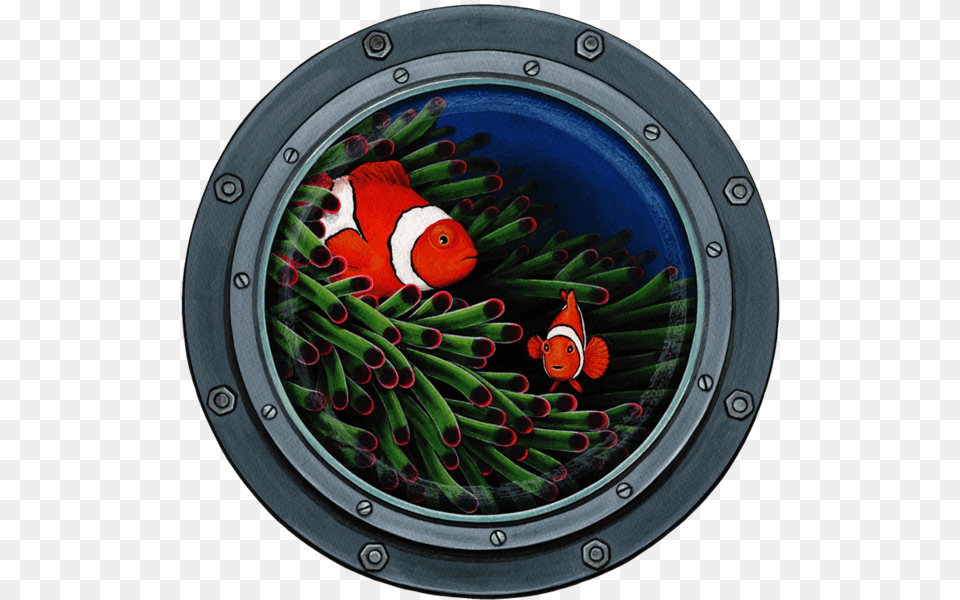 Anemone Fish, Window, Animal, Sea Life, Electronics Free Png