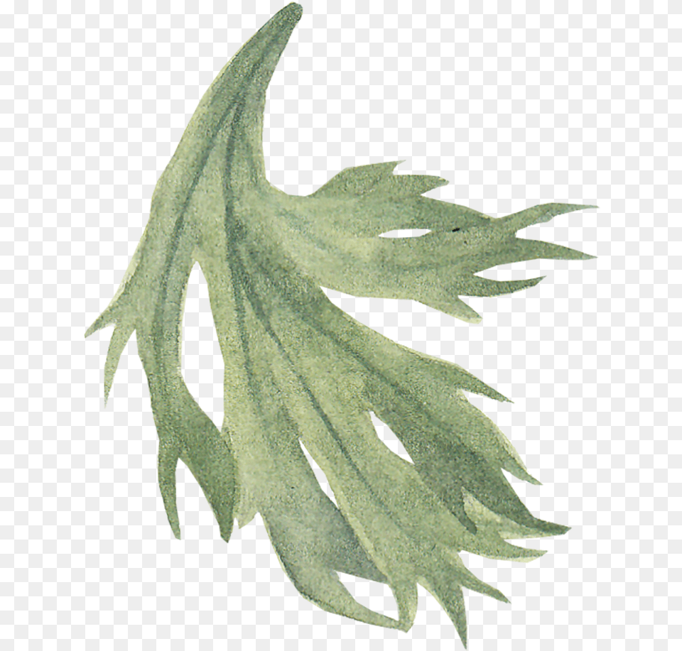 Anemone Leaf Icon By We Studio Cow Parsnip, Herbal, Herbs, Plant, Parsley Free Transparent Png
