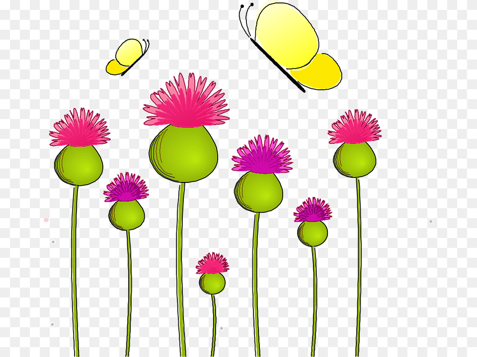 Anemone Nature Thistle Lady Wild Plant Flora Activity For English Writing, Daisy, Flower, Petal, Bud Free Transparent Png