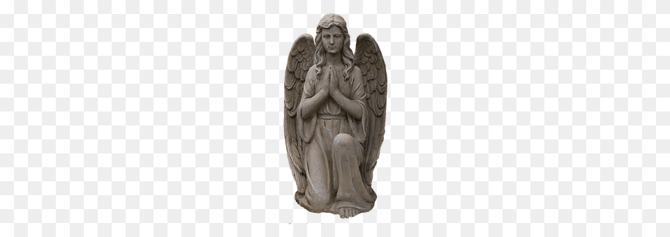 Angel Adult, Bride, Female, Person Png
