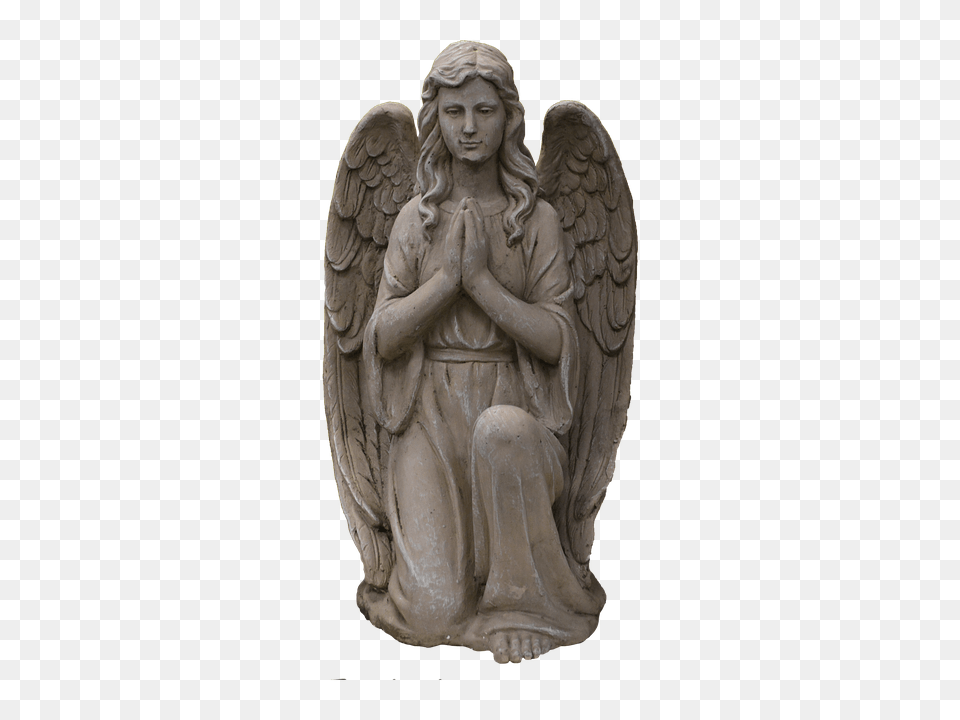 Angel Adult, Bride, Female, Person Png