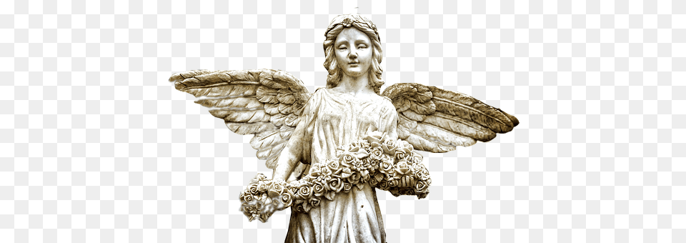 Angel Adult, Wedding, Person, Female Png