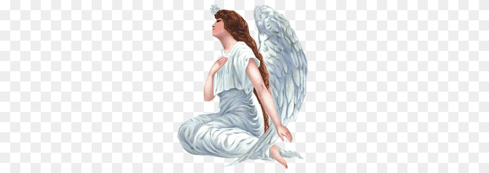 Angel Adult, Female, Person, Woman Png