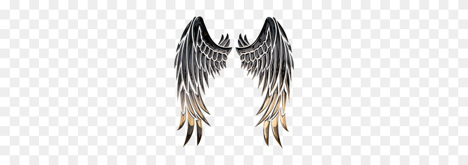 Angel Animal, Bird, Vulture Png