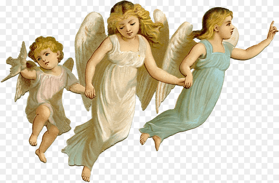 Angel, Adult, Wedding, Person, Female Png Image