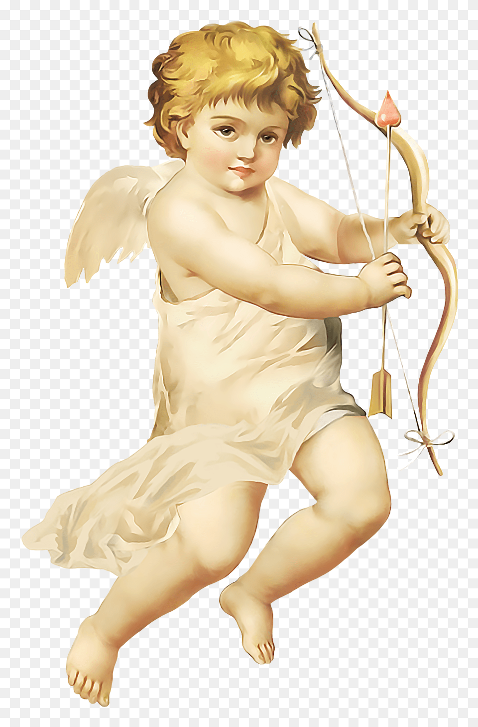 Angel, Baby, Person, Cupid, Face Free Png