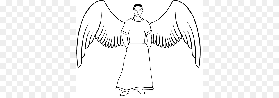 Angel Adult, Male, Man, Person Png