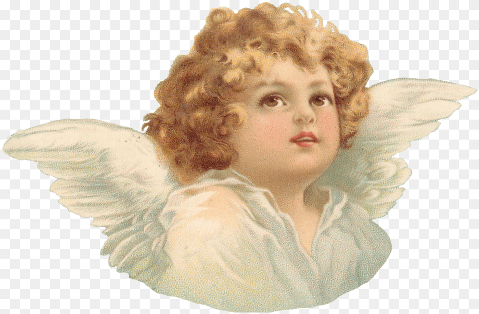 Angel, Baby, Person, Face, Head Png
