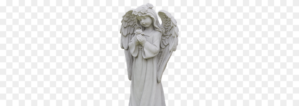Angel Adult, Bride, Female, Person Png