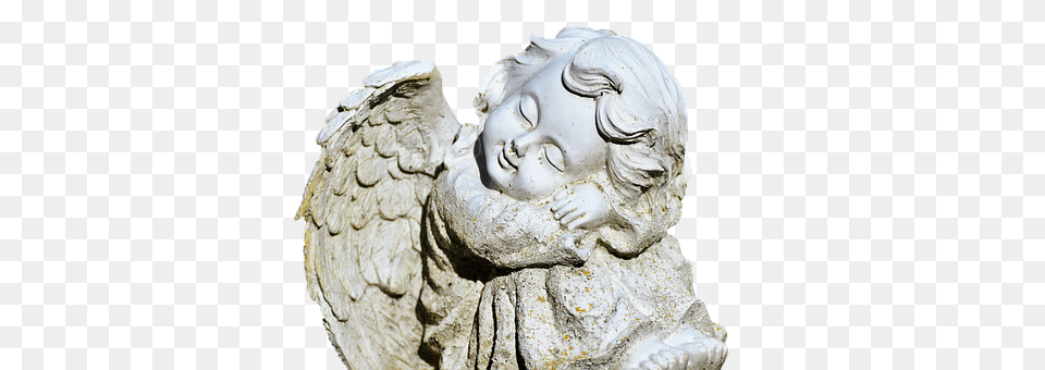 Angel Person, Figurine, Animal, Bird Png