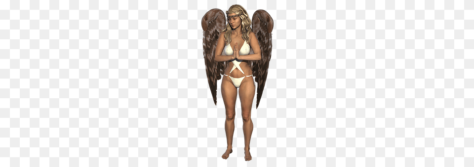 Angel Clothing, Swimwear, Adult, Female Png