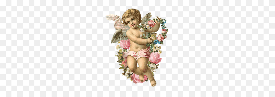 Angel Baby, Person, Cupid Png Image