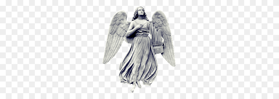 Angel Adult, Bride, Female, Person Png Image