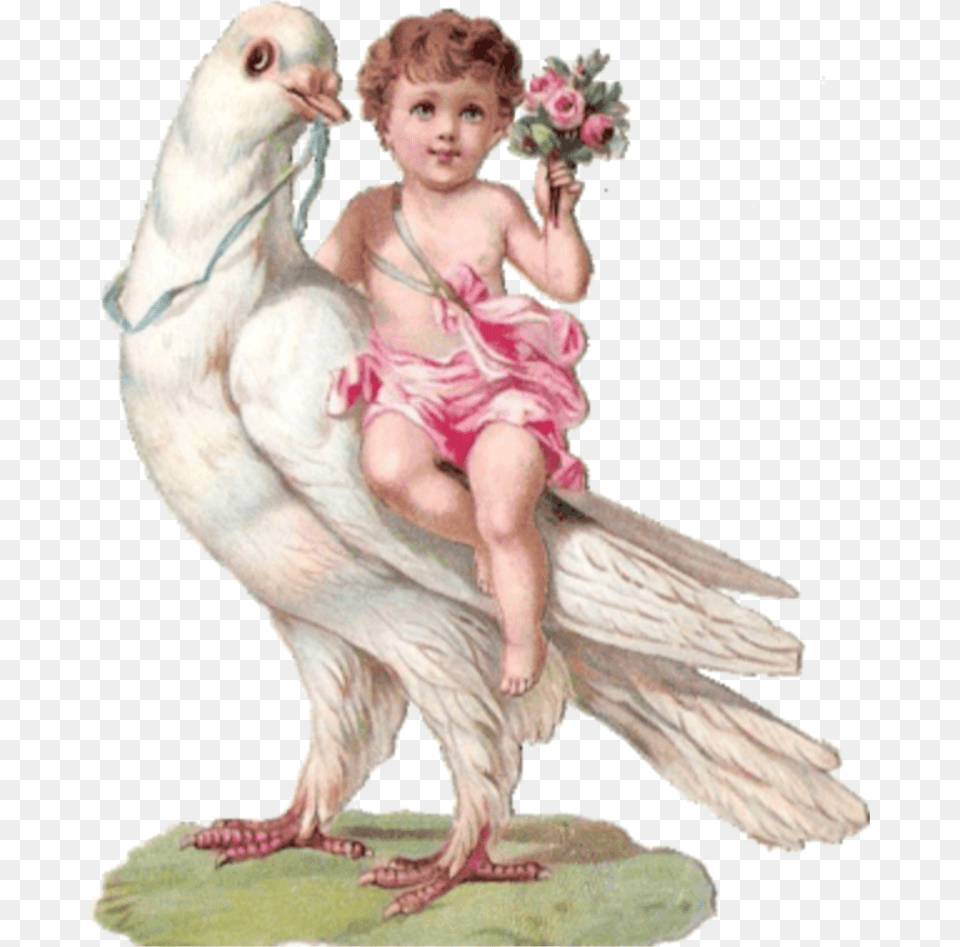 Angel Aesthetic Bird Flowers Painting Freetoedit Victorian Scrap Child Bird, Baby, Person, Animal, Face Png Image