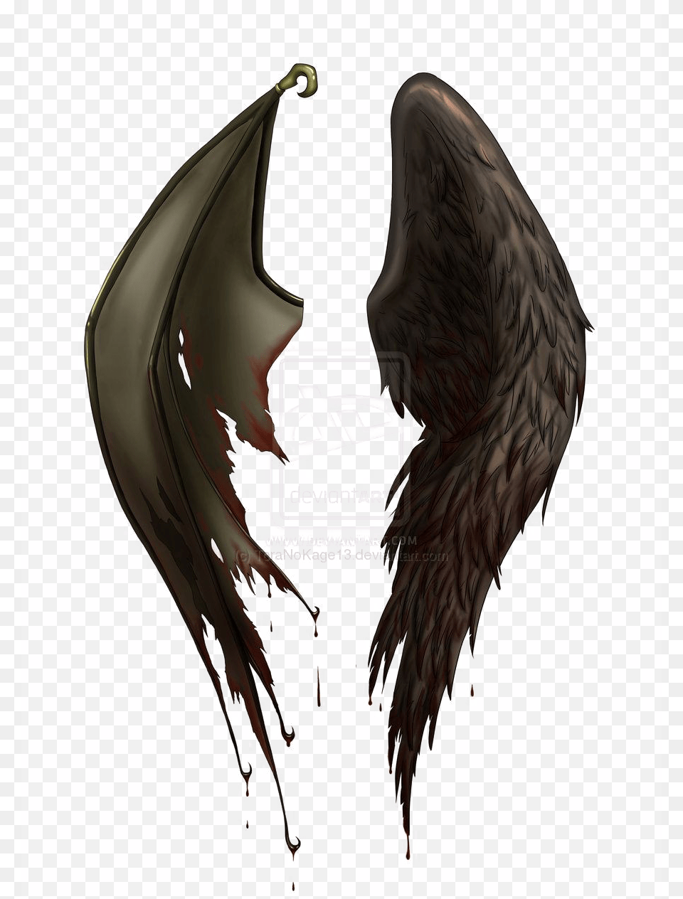 Angel And Devil Wings, Animal, Bird Png Image