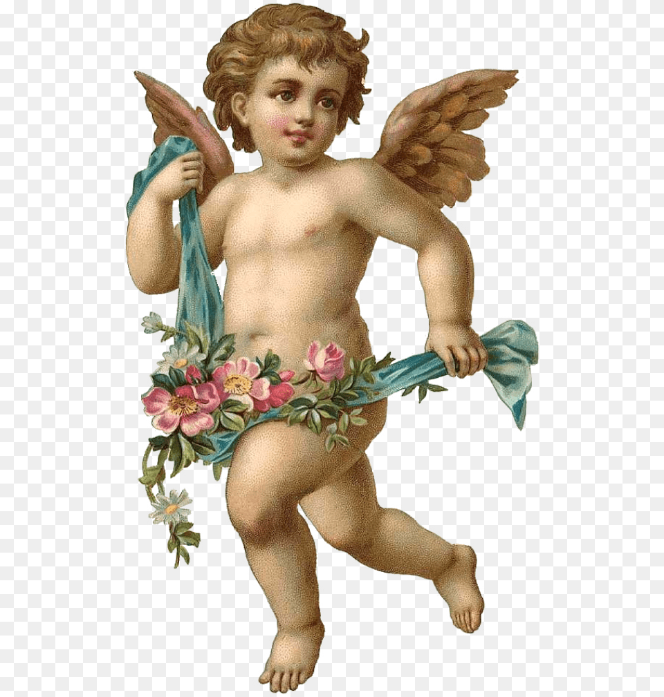 Angel Angel Cherub, Baby, Person, Face, Head Png