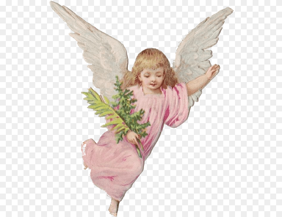 Angel Angelpng Cherub Angelaesthetic Cherubaesthetic Angel, Child, Female, Girl, Person Png Image