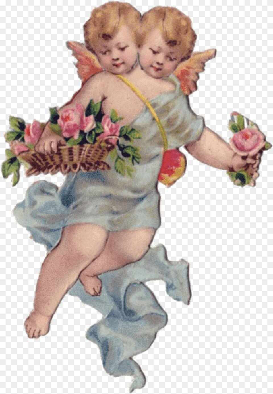 Angel Angels Christmas Holiday Holidays Icon Angel Cupid, Baby, Person, Flower, Flower Arrangement Free Png Download