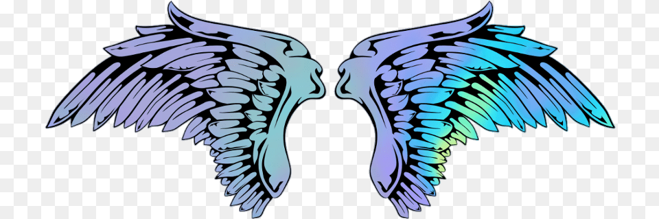 Angel Angels Wings Wing Angelwings Anatomical Heart Png Image