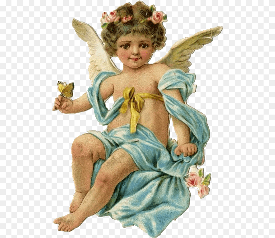 Angel Cherub, Baby, Person, Face, Head Free Png Download