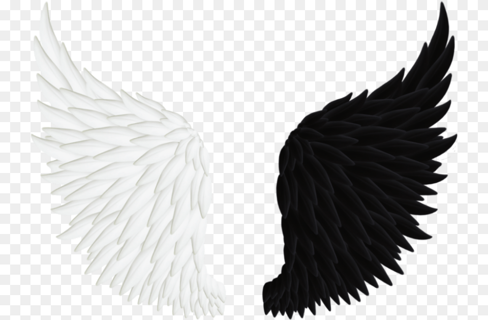 Angel Clip Art Black And White Wings, Animal, Bird, Eagle, Vulture Png Image