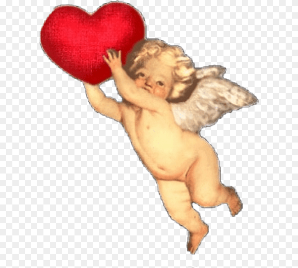 Angel Cupid Love Valentine, Baby, Person Png Image