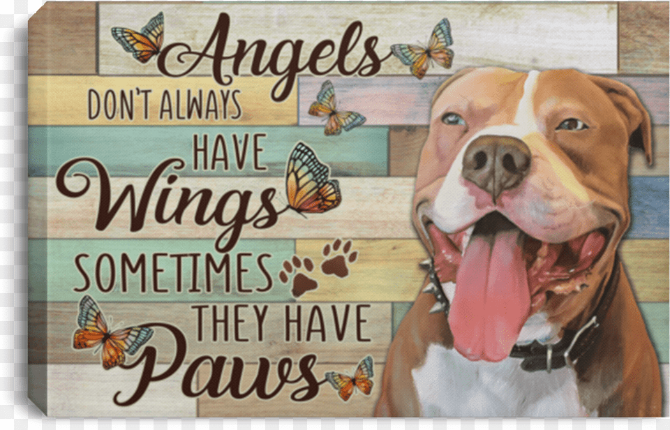 Angel Don T Alway Have Wings Sometimes Paws, Animal, Canine, Dog, Mammal Png