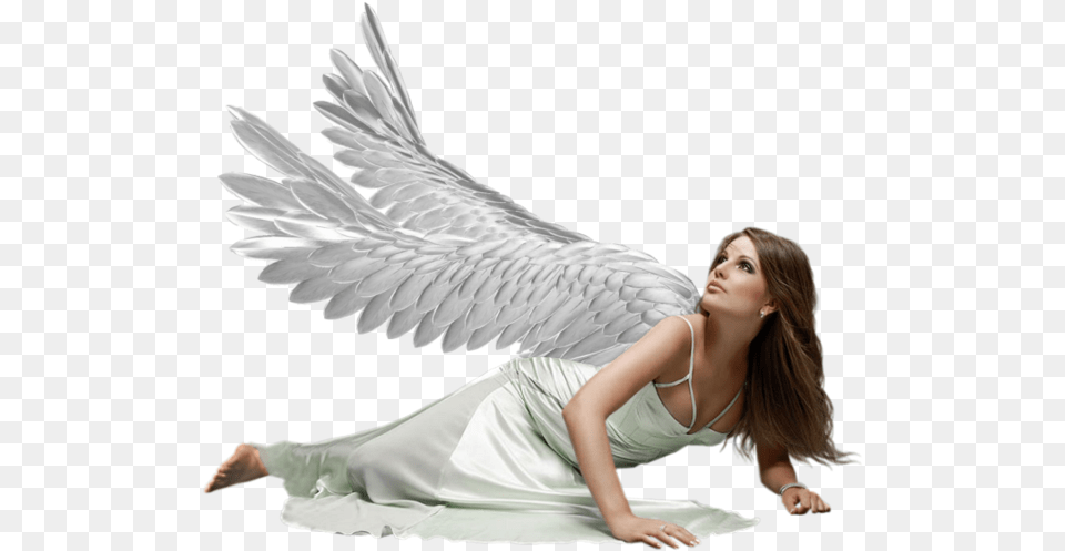 Angel Female, Adult, Person, Woman, Animal Free Png Download