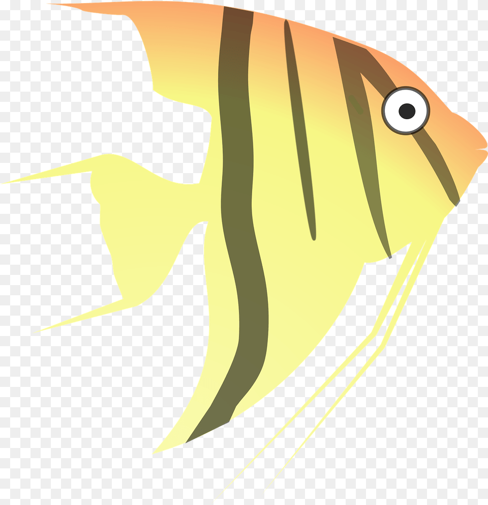 Angel Fish Clip Images Clipart Angelfish, Animal, Sea Life, Blade, Dagger Free Png