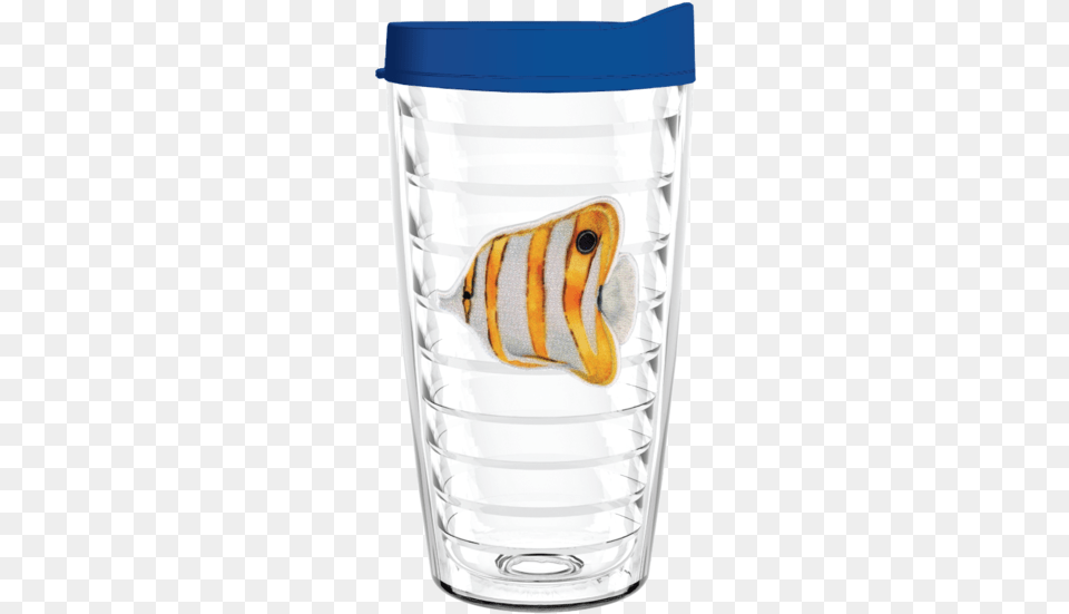 Angel Fish Watercolor Patch 16oz Tumbler Usa Flag 16 Oz Insulated Tumbler With Blue Lid And, Cup, Jar, Glass, Animal Png Image