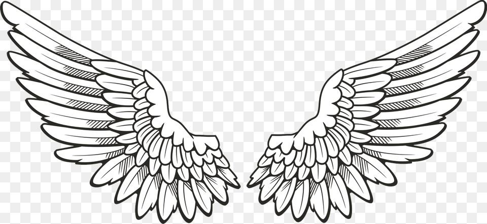 Angel Halo Wings Download, Art, Drawing Free Transparent Png
