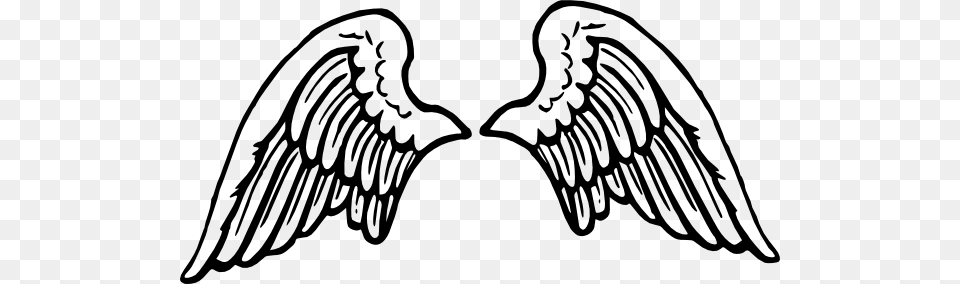 Angel Halo Wings Hd Angel Wings Clipart, Animal, Beak, Bird, Vulture Free Png Download