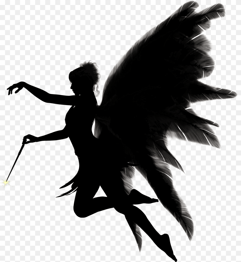 Angel Images Black And White, Silhouette, Adult, Animal, Bird Free Png