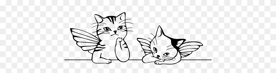 Angel Kittens, Animal, Mammal, Kitten, Pet Free Transparent Png