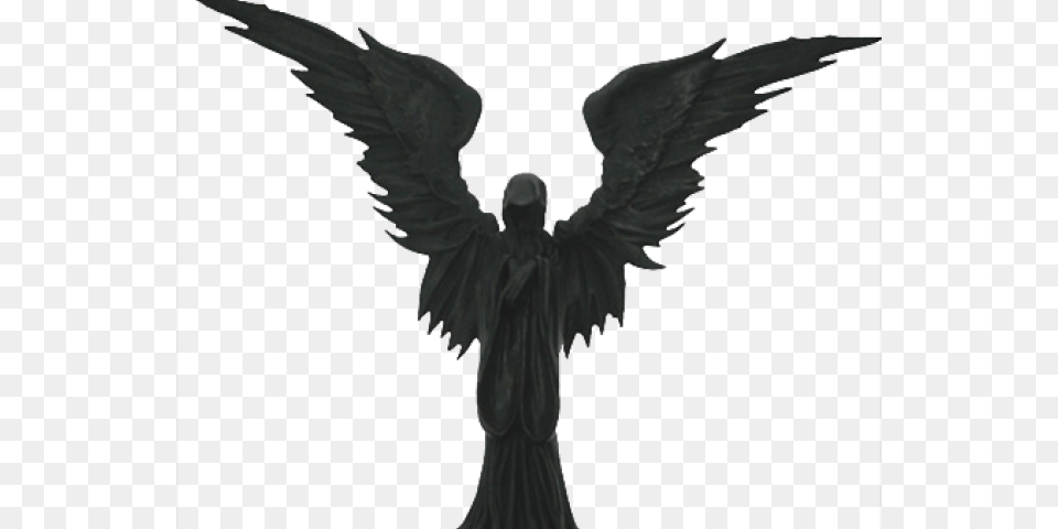 Angel Of Death Bird, Adult, Bride, Female, Person Png Image