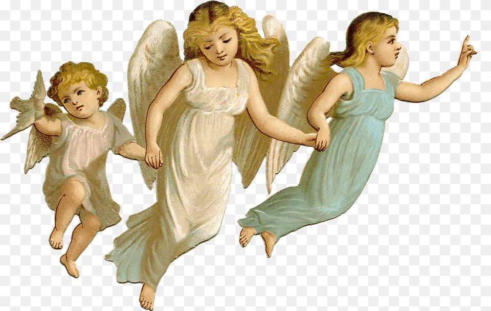 Angel Picture, Adult, Wedding, Person, Female Free Png Download