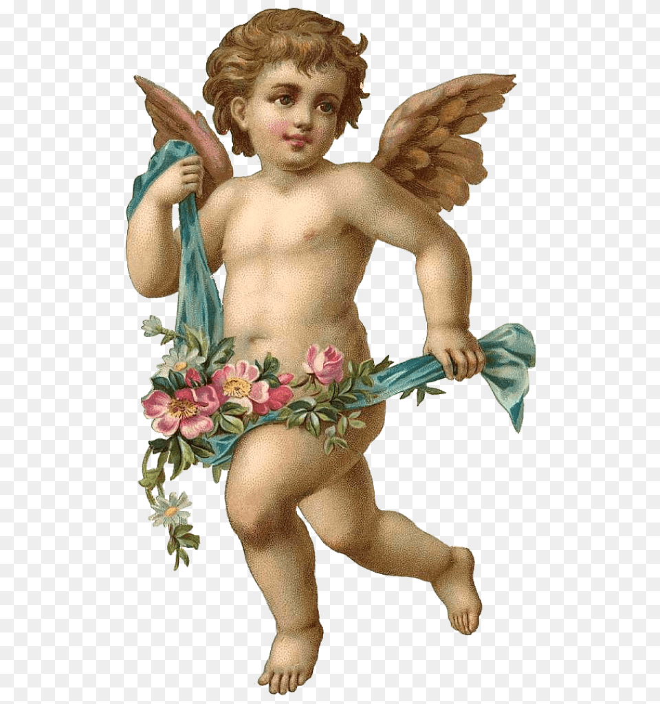 Angel Roses, Baby, Person, Face, Head Png