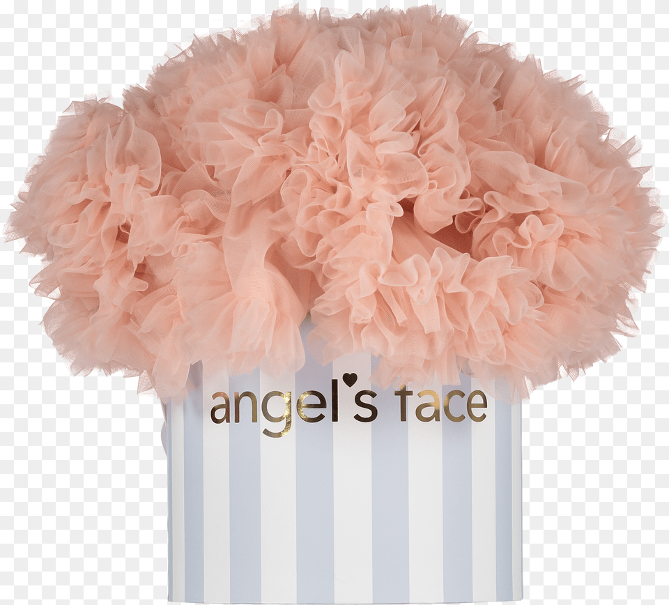 Angel S Face Tutu Gift Box Angel Face Tutu Box Png