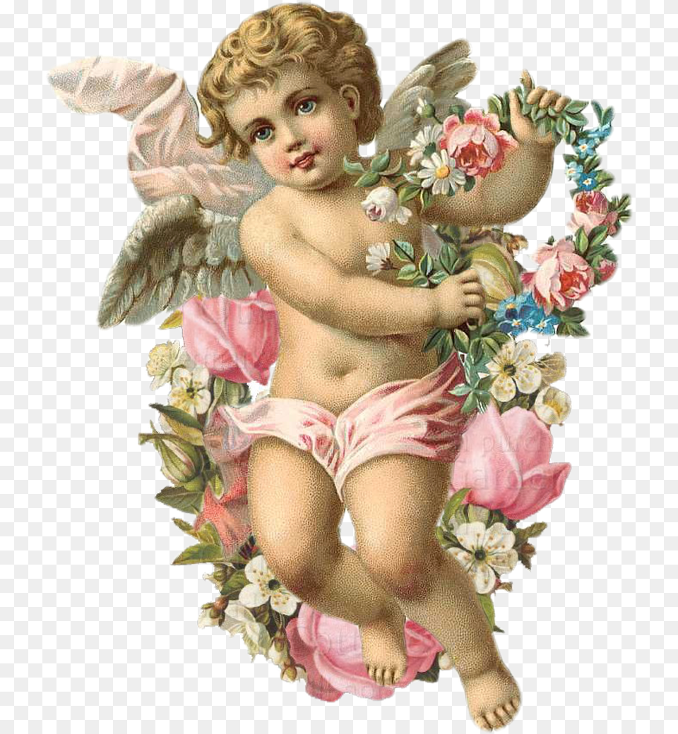 Angel Vintage Flower Free On Pixabay Angel Stickers, Baby, Person, Plant, Rose Png Image