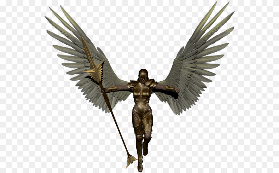 Angel Warrior, Adult, Male, Man, Person Free Png