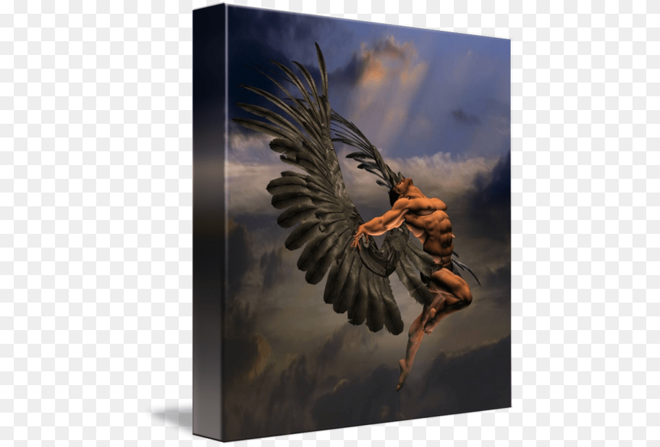 Angel Warrior, Animal, Bird, Vulture Free Transparent Png