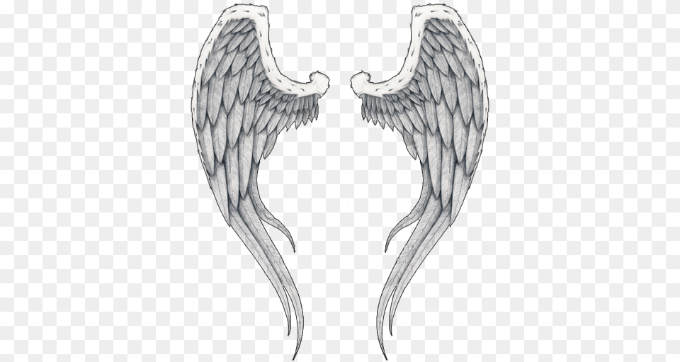 Angel Wing Angel Wings Tattoo Transparent, Animal, Bird Free Png