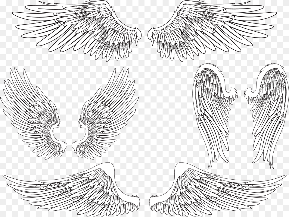 Angel Wing Bird Feather Image Realistic Angel Wings Drawing, Animal, Emblem, Symbol Free Png