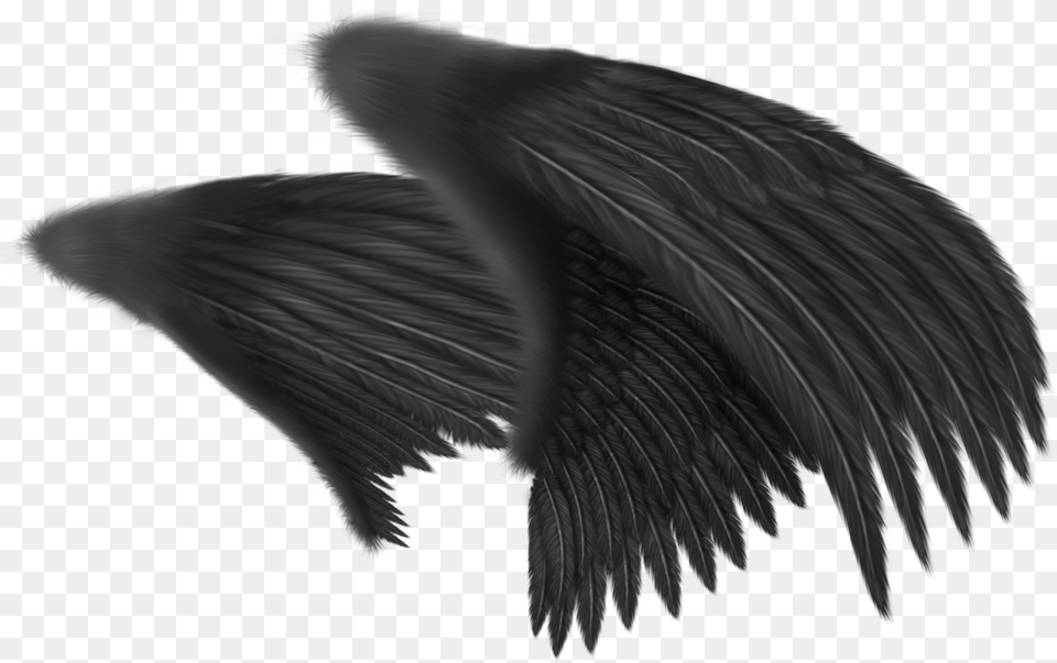 Angel Wing Clip Art Side View Angel Wings, Animal, Bird, Vulture Free Transparent Png
