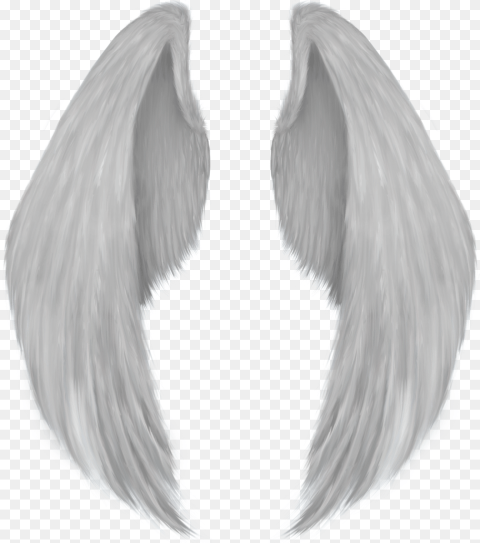 Angel Wing Drawing Angel Wings, Adult, Female, Person, Woman Free Transparent Png