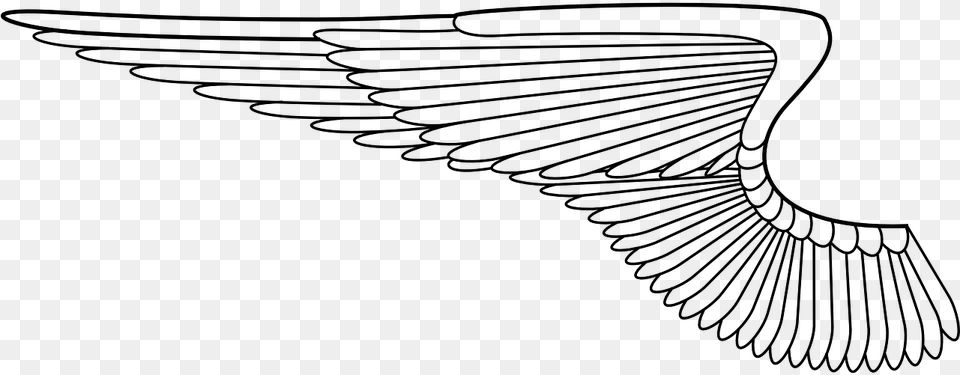 Angel Wing Vector, Gray Png Image