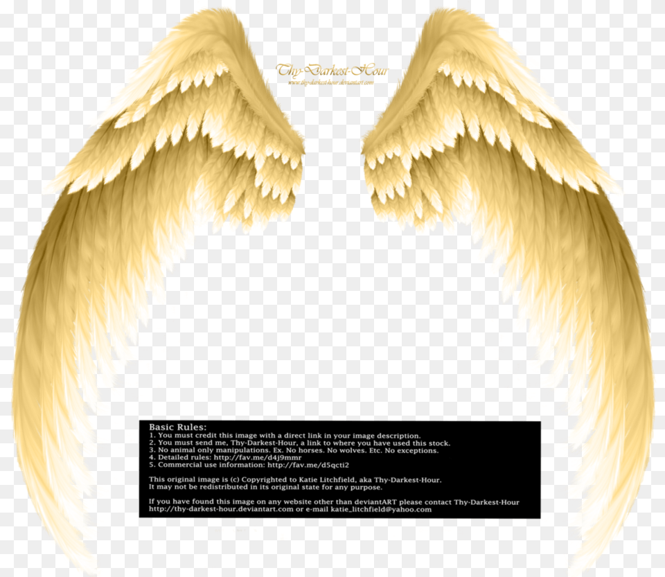 Angel Wings, Animal, Bird, Advertisement, Poster Free Png