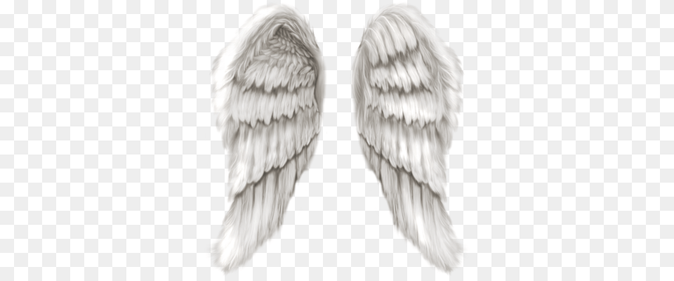 Angel Wings 14 Real Angel Wings Psd Images Angel Wings Only, Animal, Bird, Vulture Free Transparent Png